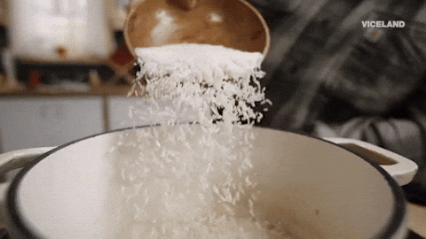 Rice GIFs - Find & Share on GIPHY